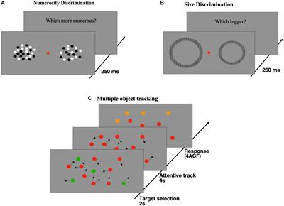 Math Anxiety Mediates the Link Between Number Sense and Math Achievements in High Math Anxiety Young Adults